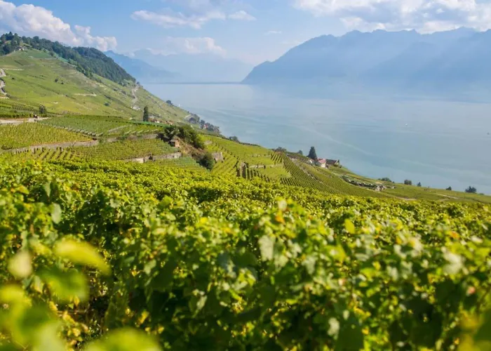 Close To & Chillon Castle, New & Comfortable *