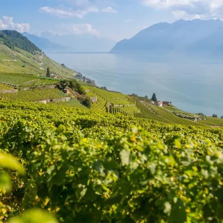 Close To & Chillon Castle, New & Comfortable *